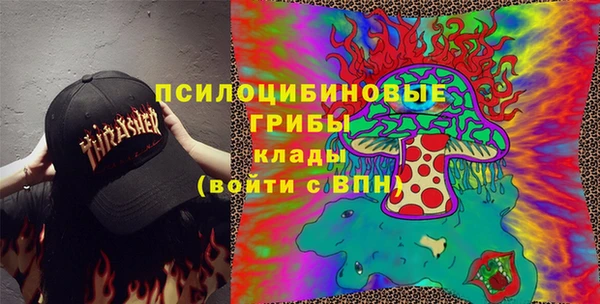 МДПВ Алзамай