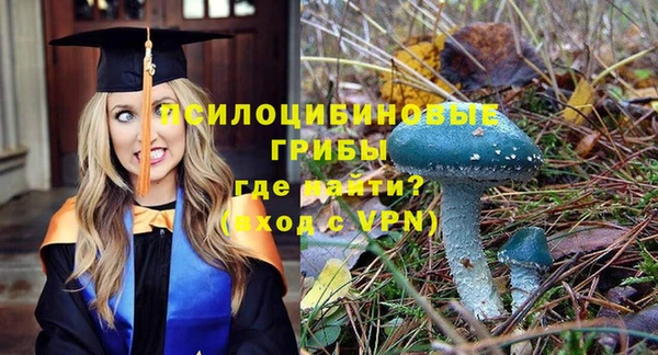 эйфоретик Алексеевка