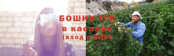 соль ск Алексин