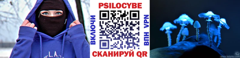 Псилоцибиновые грибы Cubensis цены наркотик Чишмы